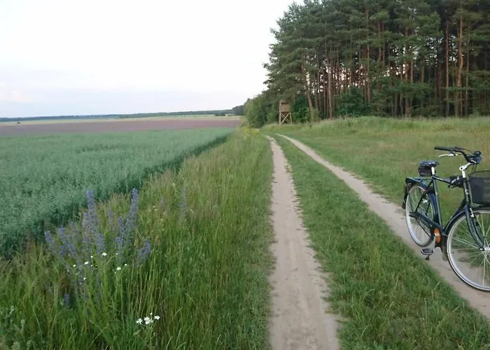 Dario By Interhome Insko